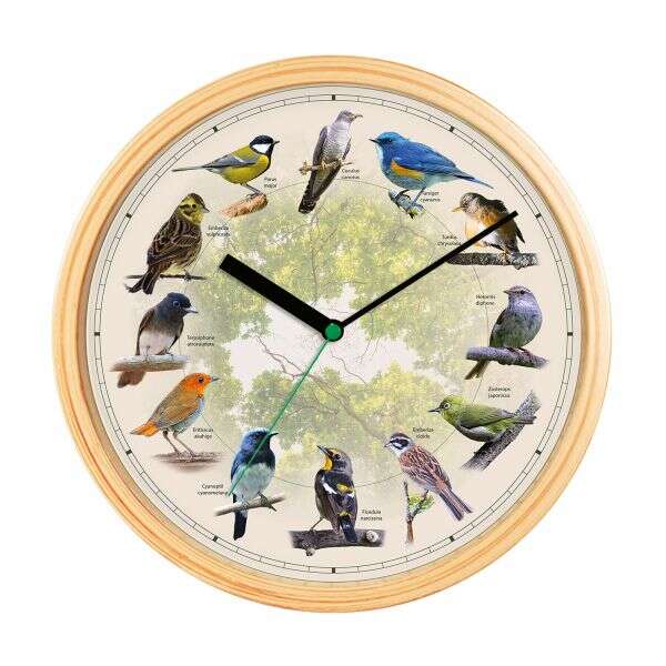 Nestly - Sound Wall Clock: Charming Melodies for a Pleasant Ambience!