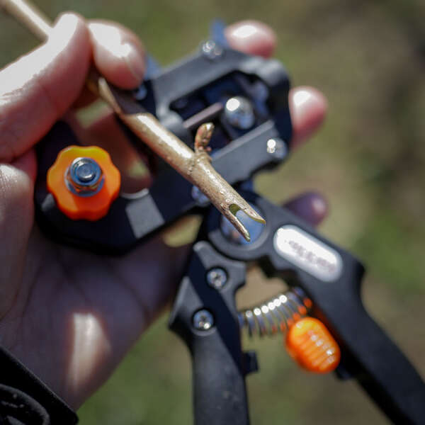 Reppex - Fruit Tree Pruning Tool: Fast and Efficient Pruning!