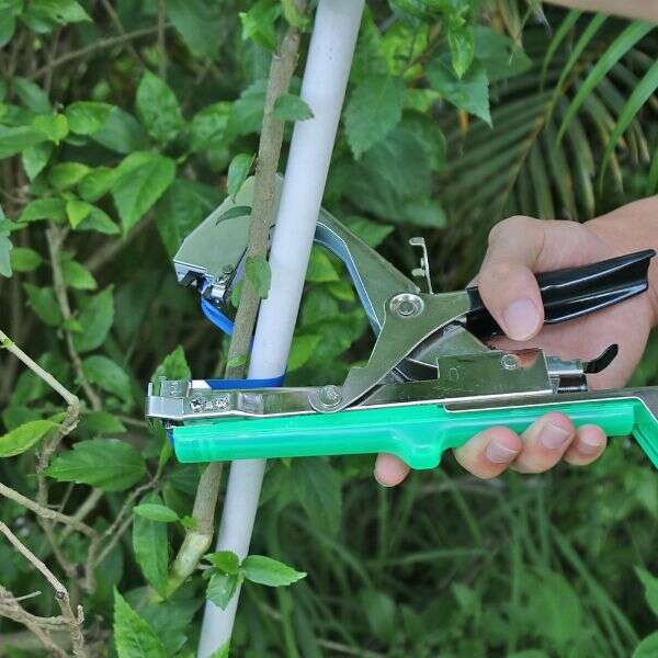 Bindsy - Plant Tying Tool - Efficiency and Speed ​​in Gardening!