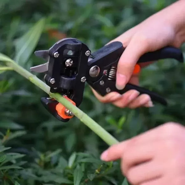 Reppex - Fruit Tree Pruning Tool: Fast and Efficient Pruning!