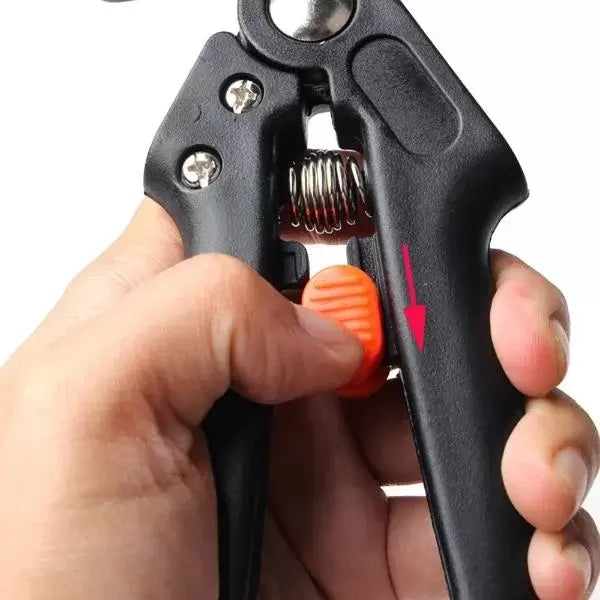 Reppex - Fruit Tree Pruning Tool: Fast and Efficient Pruning!