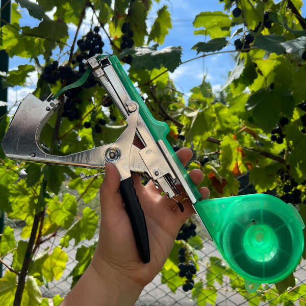 Bindsy - Plant Tying Tool - Efficiency and Speed ​​in Gardening!