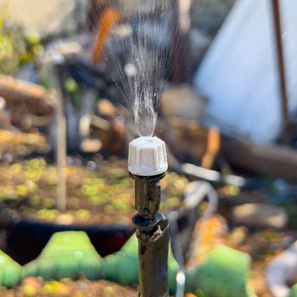 Waterly - Automatic Garden Watering System: Efficiency and Water Saving!