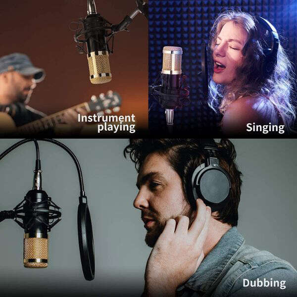 Stadroom - Professional Studio Microphone: High Quality Sound for Exceptional Recordings!