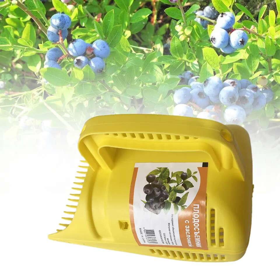 Fruvio - Berry Picker: Harvest Quickly and Efficiently!