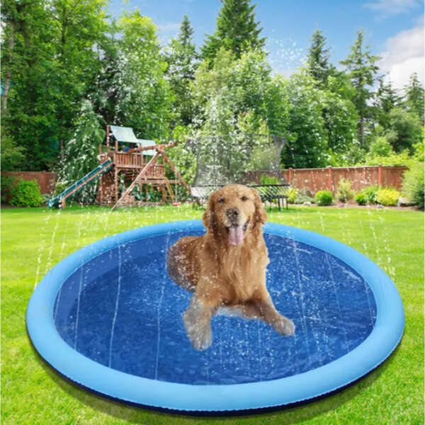 Waterlark - Fountain Pool for Kids and Pets: Water Fun in a Curve!