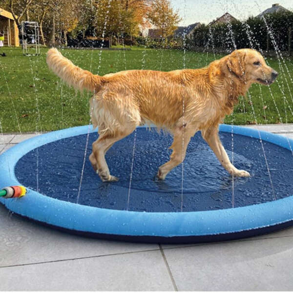 Waterlark - Fountain Pool for Kids and Pets: Water Fun in a Curve!