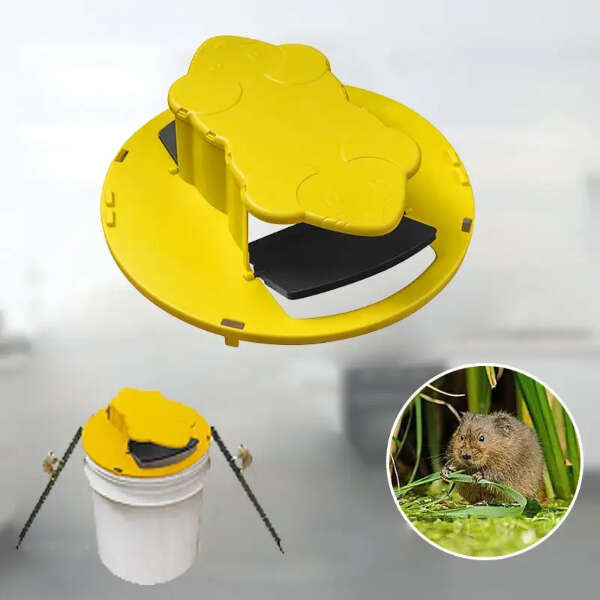 Trapero - Mouse Trap: The Effective Solution for a Pest-Free Home!