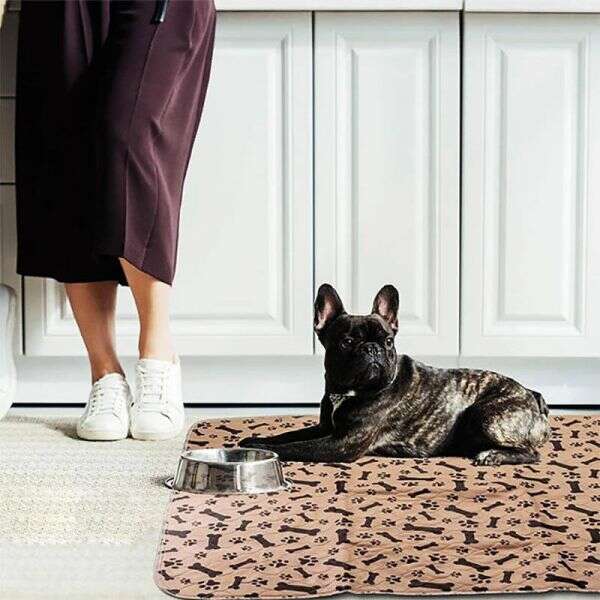 Stonus - Waterproof Pet Mat: Comfort and Cleanliness!