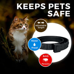 Kantick Plus - Anti-Parasite Collar for Pets: Effective Protection Against Fleas and Ticks!