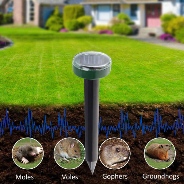 RayRepel - Solar Pest Repellent: Protect Your Property with Ultrasonic Technology!