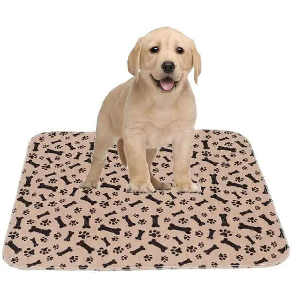 Stonus - Waterproof Pet Mat: Comfort and Cleanliness!