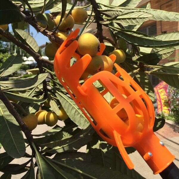 Kuster - Fruit Picking Tool: Easily Pick Hard-to-Access Fruits!