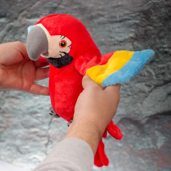 Parroty - Talking Parrot: Your Child's Favorite Toy!